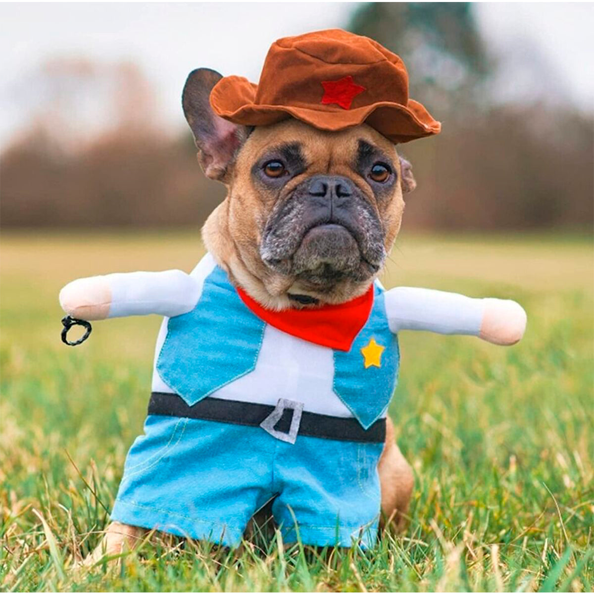Disfraz Para Mascotas De Vaquero TV52